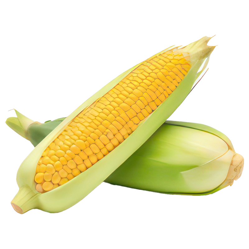 Sweet Corn